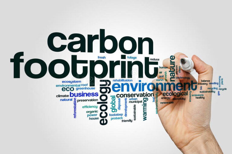5 GOOD REASONS TO CARRY OUT A CARBON FOOTPRINT FOR YOUR BUSINESS