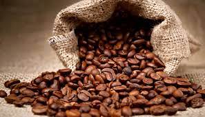 Best Coffee Beans of the Year 2022

