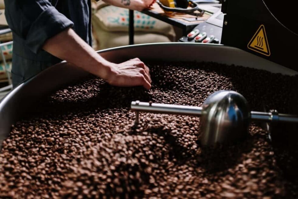 Best Coffee Beans of the Year 2022