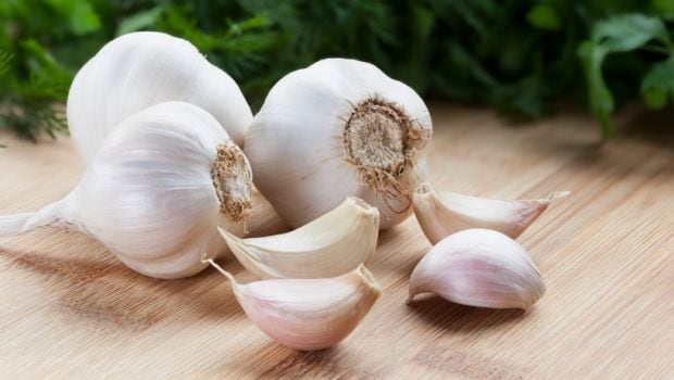 Garlic Benefits for the Body and Health