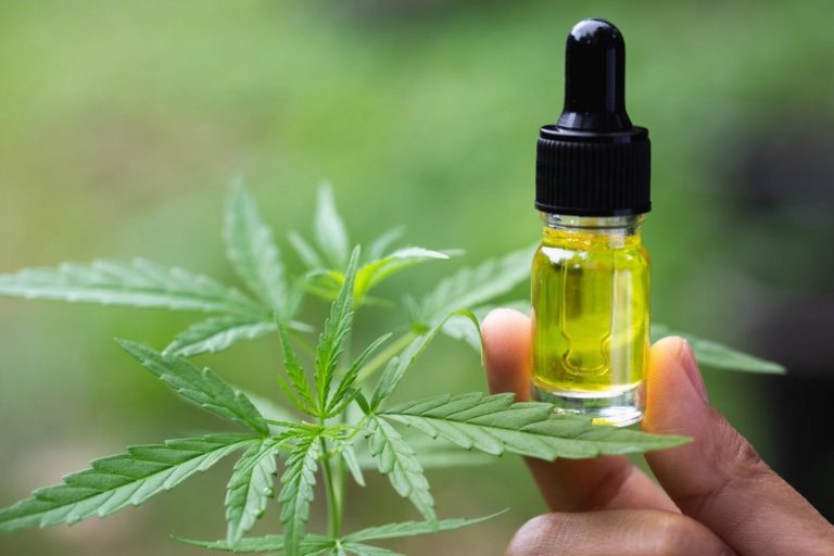 Step by step instructions to find excellent CBD oil