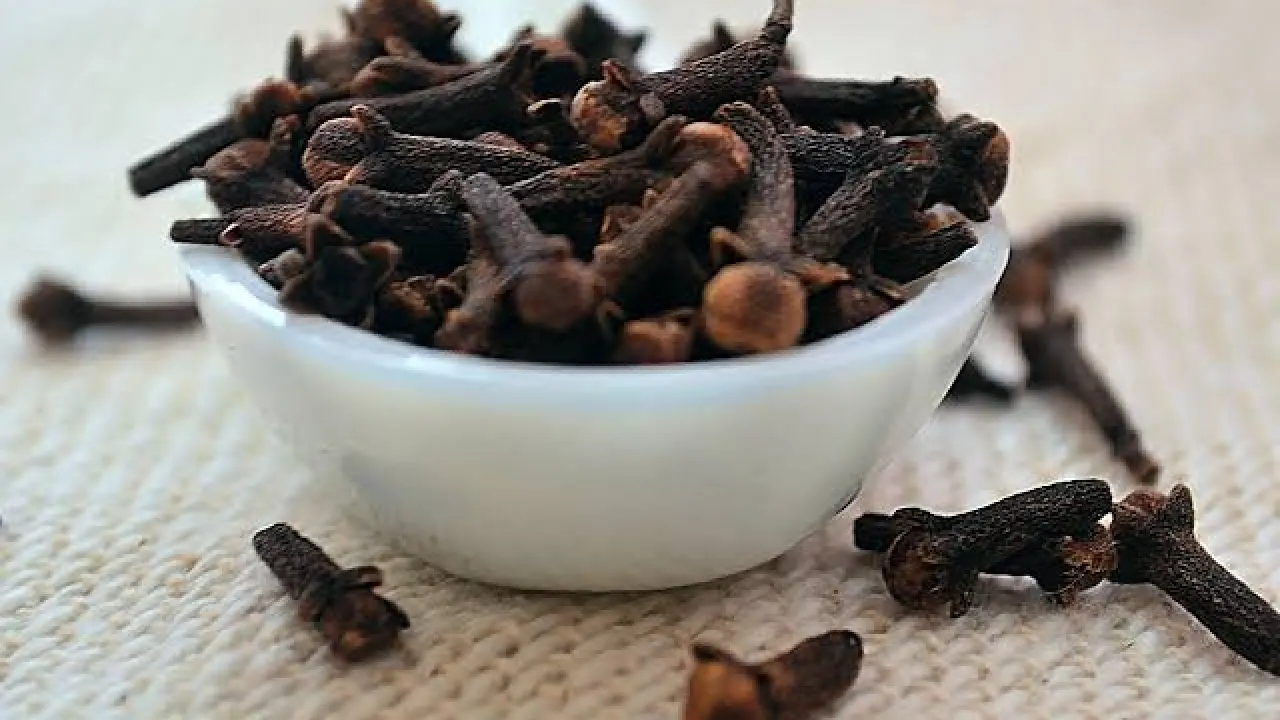 Why Use Cloves For The Virgina And What Are Their Benefits?