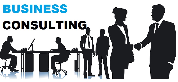 business consultant services