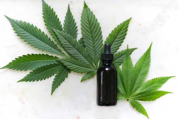 How CBD Oil Affects Your Gut Health 