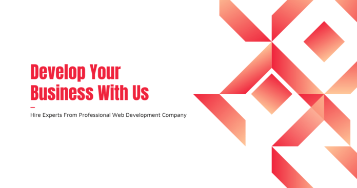 Experts Hired From A Professional Web Development Company