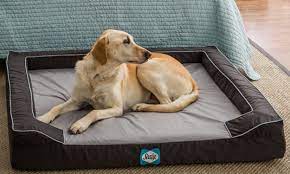 Instructions to Choose the Right Bed for Your Pet
