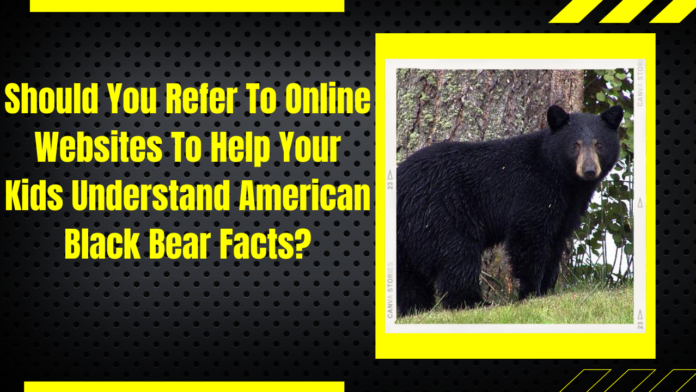 Should You Refer To Online Websites To Help Your Kids Understand American Black Bear Facts?