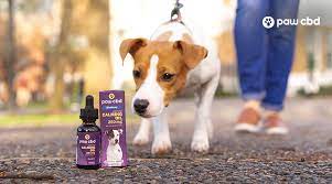 How to select the best cbd products for pets