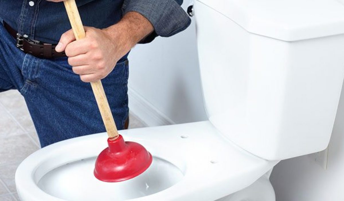 How To Unblock A Toilet 8 Easy Steps Mazing US