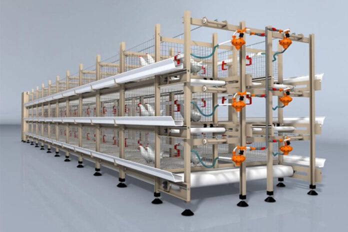 Automated Layer Cage
