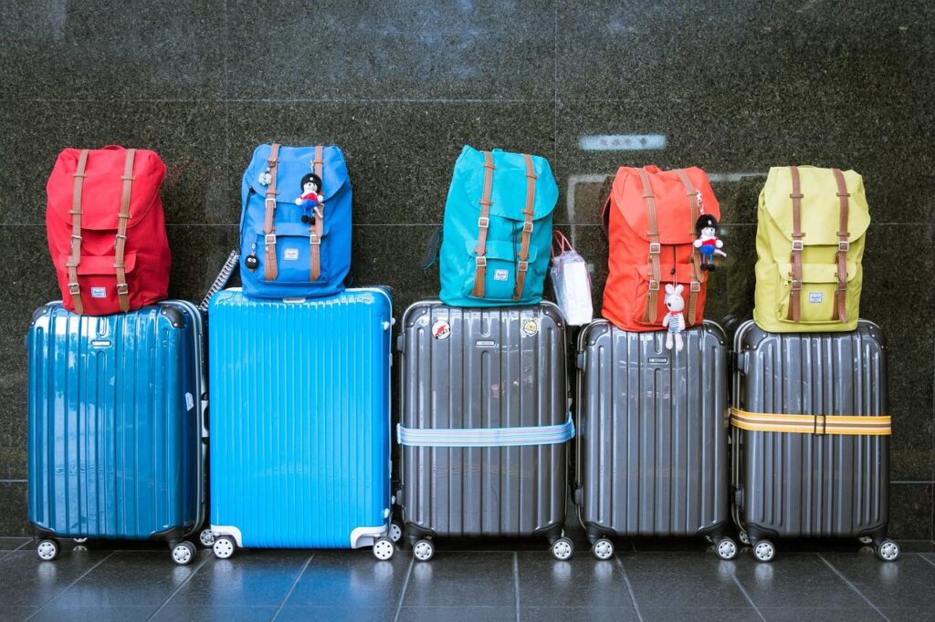 Luggage Brands