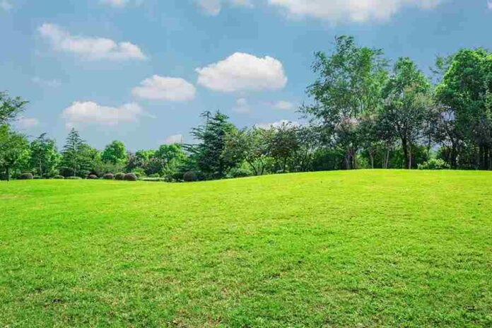 Buy Land in Travis County of Texas