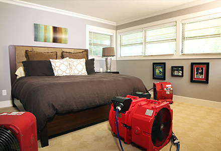 Tips For Choosing The Right Bed Bug Heat Treatment Provider